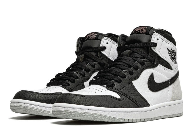 Air Jordan 1 Retro High Silver Toe Womens